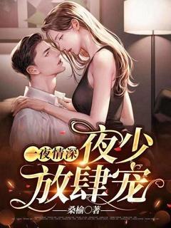 一夜情深:夜少放肆宠