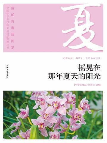 “我的青春我的梦”（夏）摇晃在那年夏天的阳光