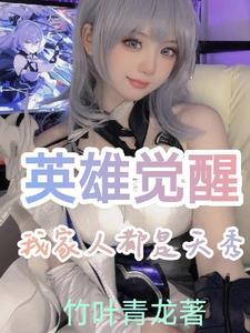 英雄觉醒:我家人都是天秀