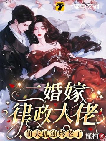 二婚嫁律政大佬,前夫孤独终老了