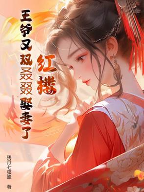 红楼:王爷又双叒叕娶妻了