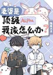 老婆是顶级Alpha,我该怎么办