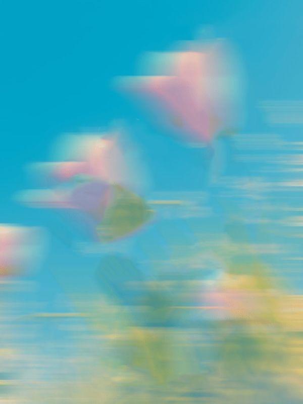 认清偏心家人后，我重生了