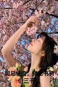 闻总快追,楼秘书身价三千亿在线小说