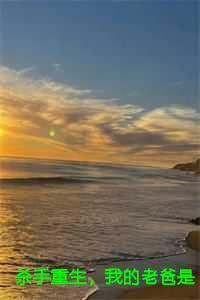 杀手重生,我的老爸是皇帝苏月后续