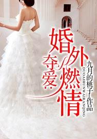 夺爱:婚外燃情