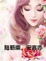 陆靳南,宋言亦全文