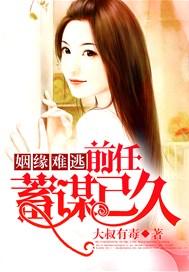 姻缘难逃:前任蓄谋已久