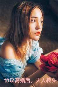协议离婚后,夫人转头改嫁了小说