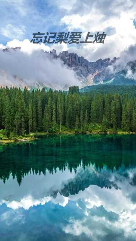 忘记梨爱上烛