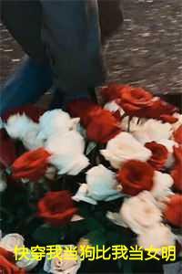 快穿我当狗比我当女明星还要火:黎昭沈韫