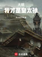 大明:我才是皇太孙