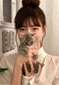 几百块的律师费,你玩什么命啊!畅读佳作