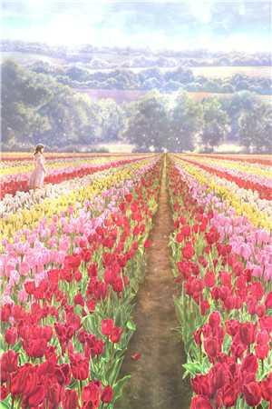 完整文本系统资源免费,我打造诸天第一城