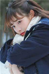 精修版穿越:嫔妃她集宠爱于一身