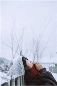 开局VIP,异界我无敌畅销书籍