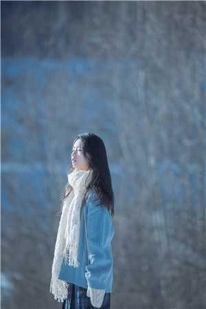 登上官场巅峰,从打击恶势力开始畅读全文版