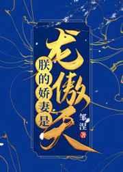 朕的娇妻是龙傲天(女穿男)