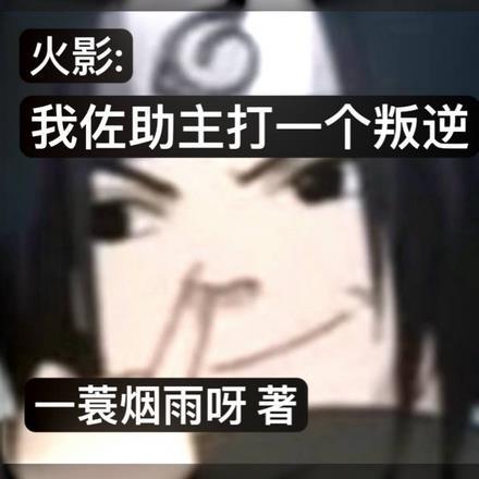 火影:我佐助,主打一个叛逆