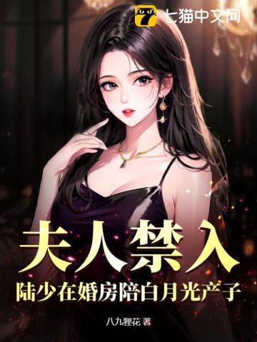 夫人禁入,陆少在婚房陪白月光产子
